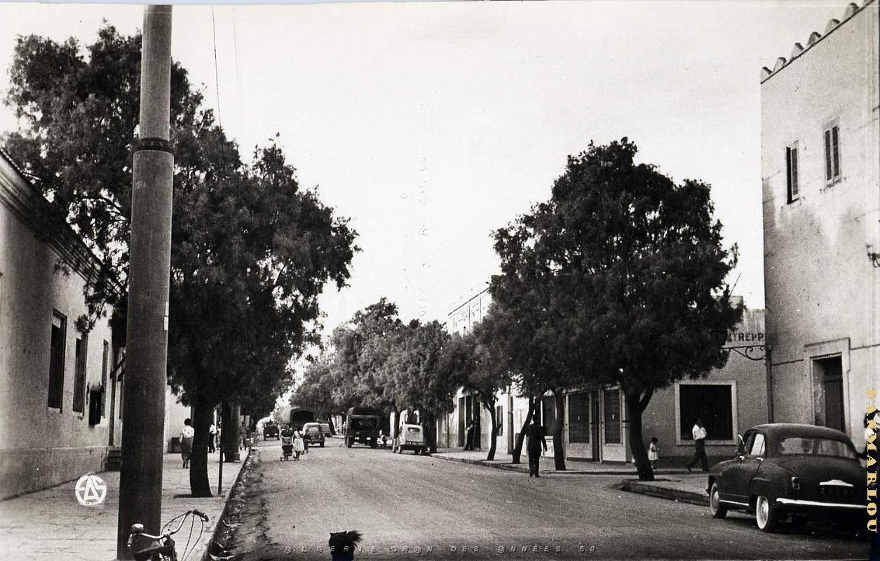 Colomb bechar 515- Avenue Poincare COLLECTION DES AMIS DE ND DE SANTA CRUZ.jpg